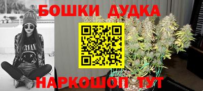 PSILOCYBIN Кулебаки