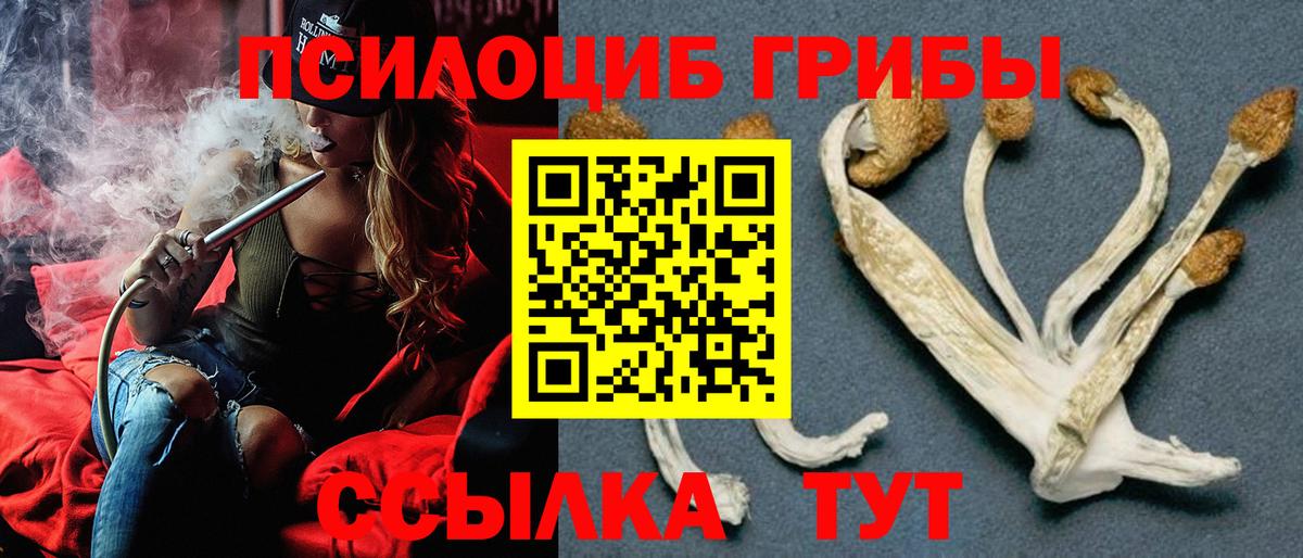 Ирбит  Галлюциногенные грибы ЛСД  Вход с VPN  Псилоцибиновые грибы MAGIC MUSHROOMS 