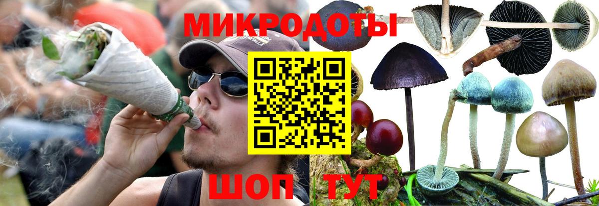 Псилоцибиновые грибы Psilocybine cubensis Ирбит